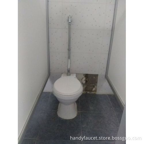Hand Press Button Switch Brass Toilet Flush Valves